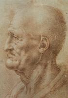 Vinci, Leonardo da - oil painting